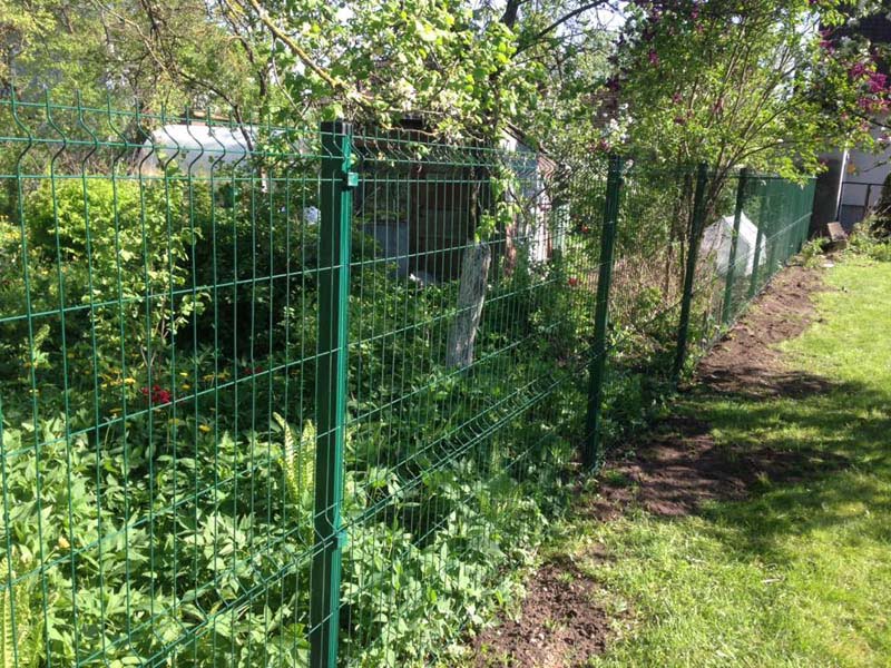 Penelu zogi uzstadisana Riga Latvija 5 1