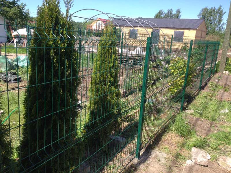 Penelu zogi uzstadisana Riga Latvija 6 1