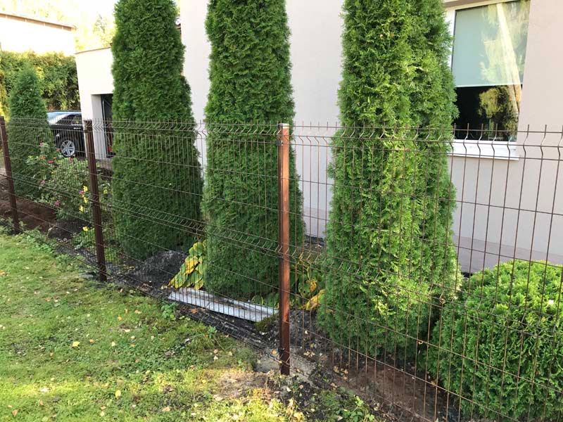 Penelu zogi uzstadisana Riga Latvija 7 1